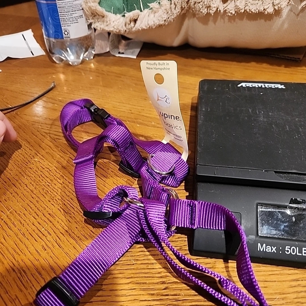 LupinePet Purple 3/4" Adjustable Roman Dog Harness, 12-20", Small Dogs